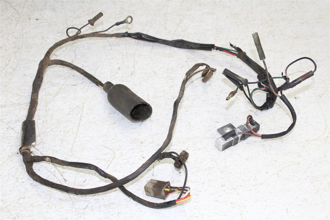 1995 Yamaha RT 180 Wire Wiring Harness Loom