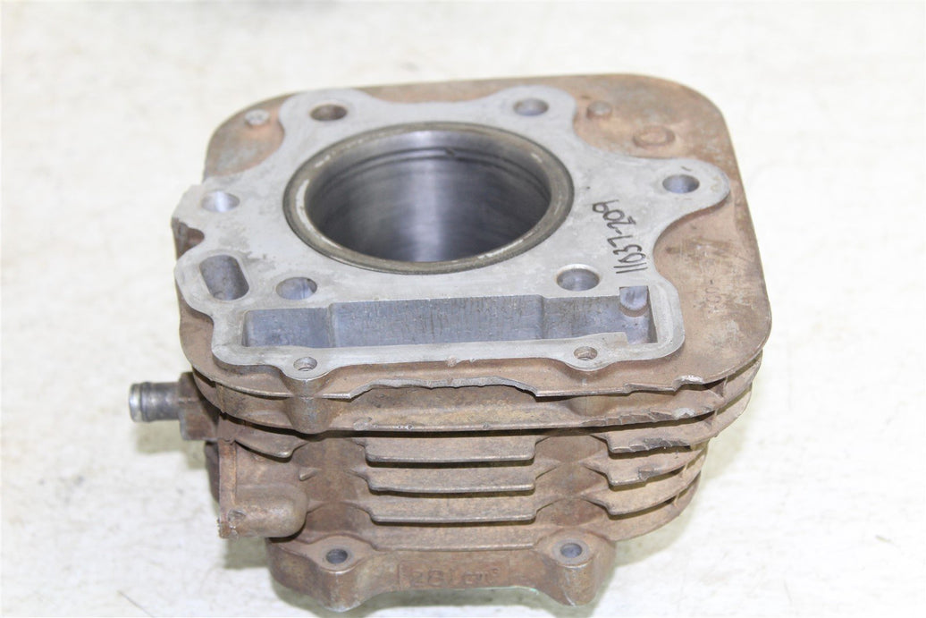 2002 Honda TRX 300EX Engine Cylinder Jug
