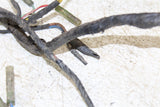 1998 Kawasaki Bayou 300 4x4 Wire Wiring Harness Loom