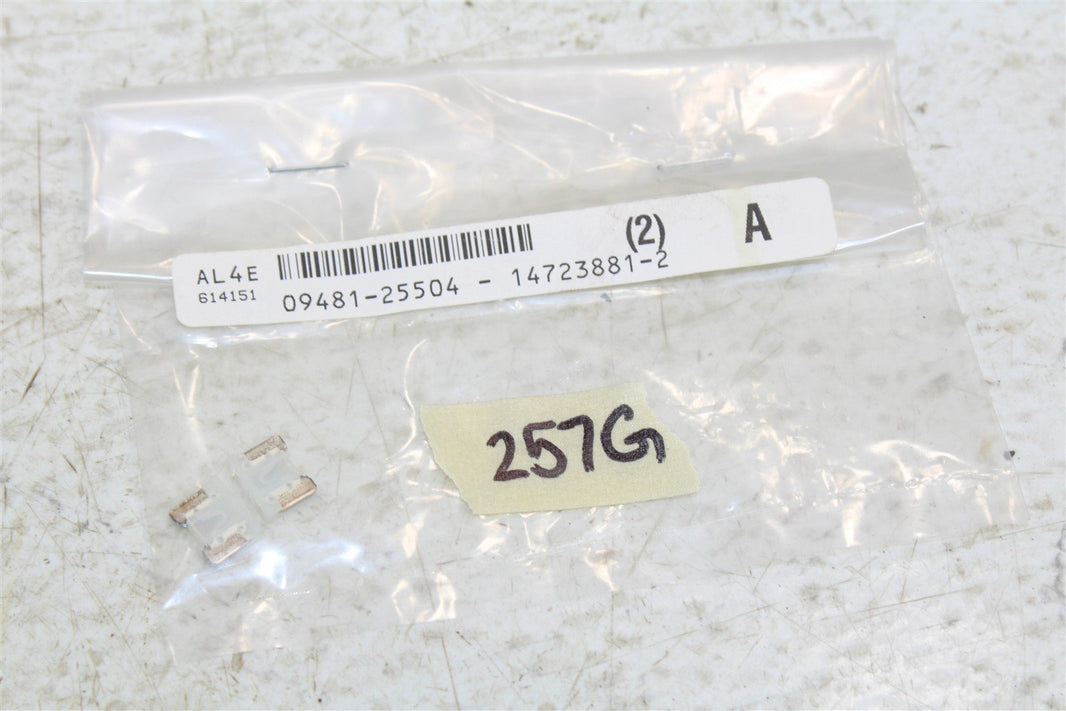 NOS Genuine Suzuki 25 Amp Fuses Fuse NEW OEM 09481-25504 QTY:2