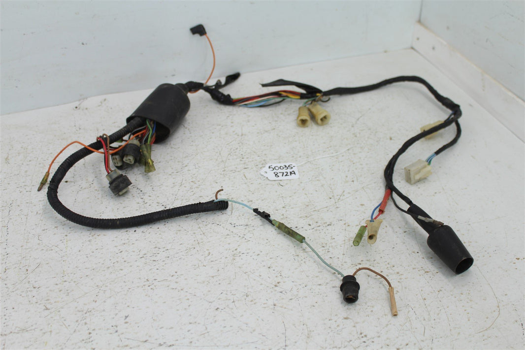 1987 Yamaha Champ 100 Wire Wiring Harness