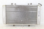 2003 Yamaha Grizzly 660 4x4 Radiator w/ Coolant Hoses