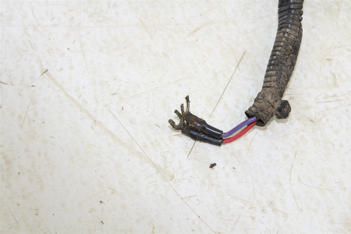 1995 Polaris Trail Boss 250 Wire Wiring Harness Loom