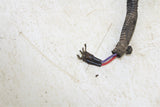 1995 Polaris Trail Boss 250 Wire Wiring Harness Loom