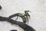 1974 Honda CB 550 Four Wire Wiring Harness Loom Starter Solenoid