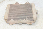 2010 Honda Rancher TRX 420 FM Radiator w/ Coolant Hoses