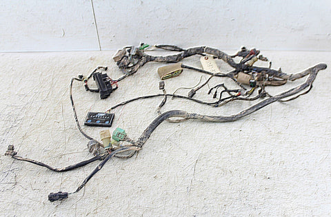 2010 Honda Rancher TRX 420 FM Wire Wiring Harness Loom