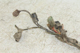1999 Suzuki Quad Runner LT-F 500 Wire Wiring Harness Loom