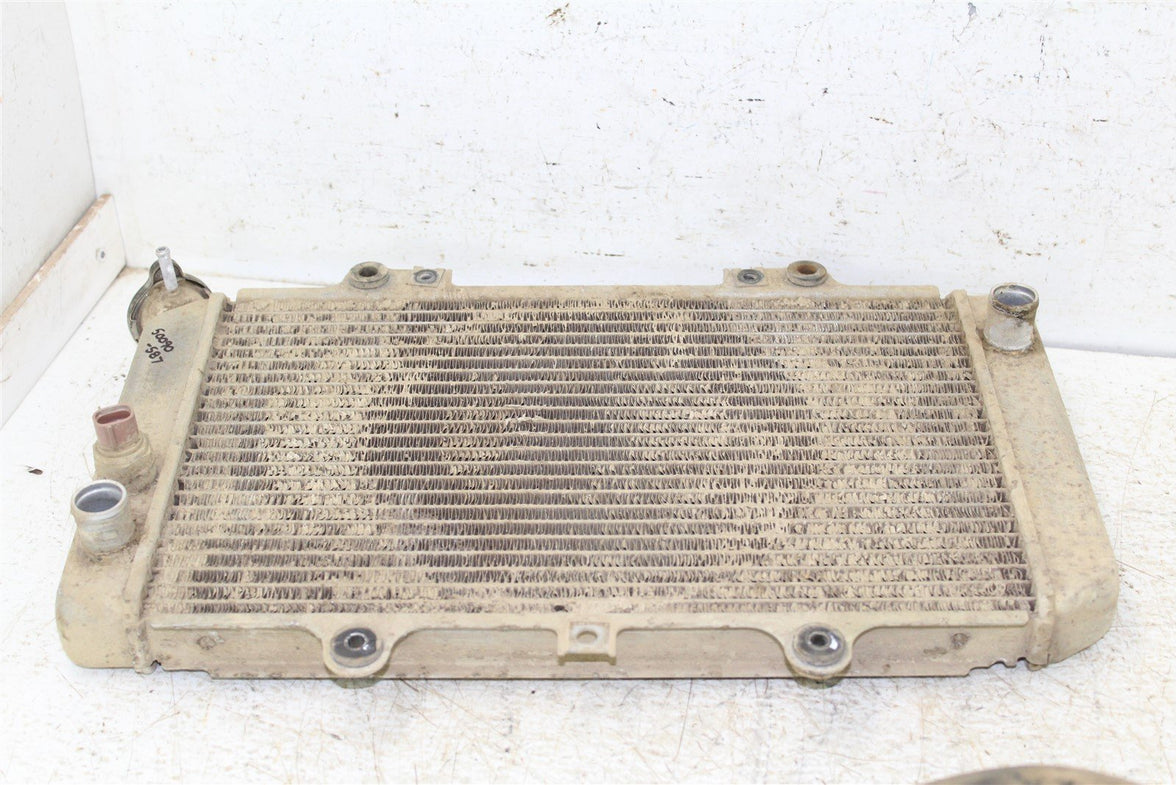 2003 Yamaha Grizzly 660 4x4 Radiator w/ Coolant Hoses Support