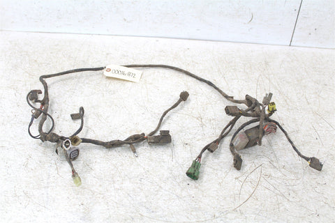 2001 Arctic Cat 300 2x4 Wire Wiring Harness Loom