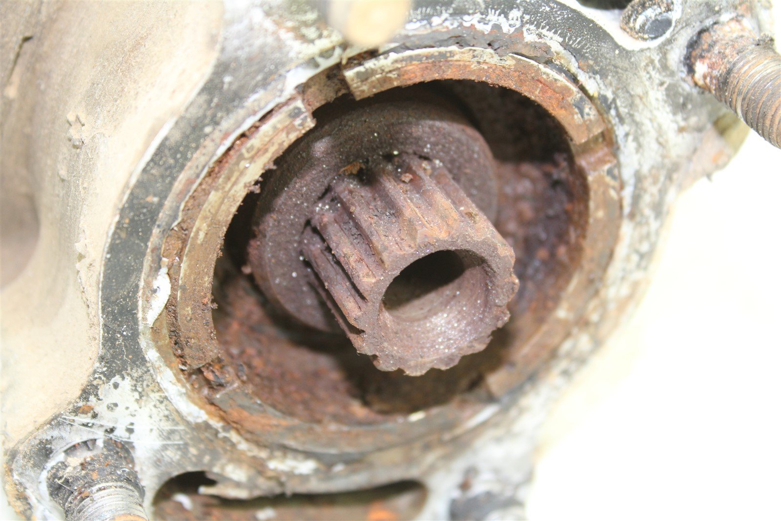 2002 Yamaha Bear Tracker 250 Rear Differential