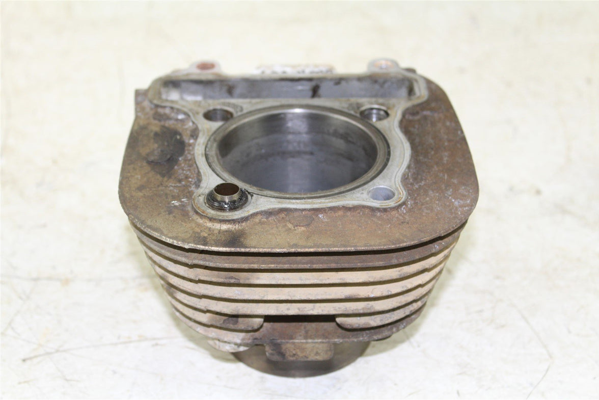 2002 Yamaha Bear Tracker 250 Engine Cylinder Jug