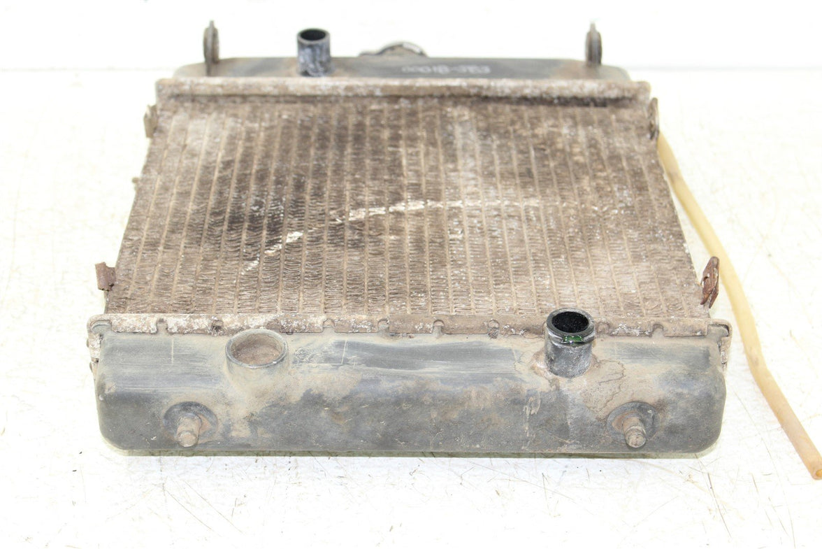 2001 Arctic Cat 400 4x4 Manual Radiator w/ Coolant Hoses