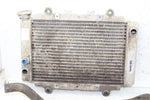 2007 Yamaha Grizzly 450 4x4 Radiator w/ Coolant Hoses Support
