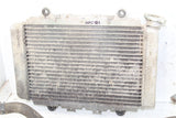 2007 Yamaha Grizzly 450 4x4 Radiator w/ Coolant Hoses Support