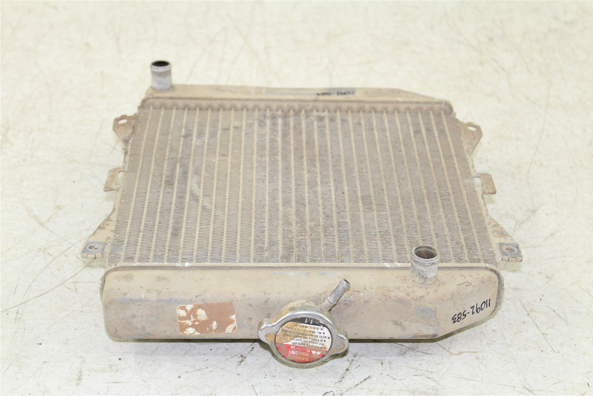 2018 Honda Foreman TRX 500 FM Radiator w/ Coolant Hoses