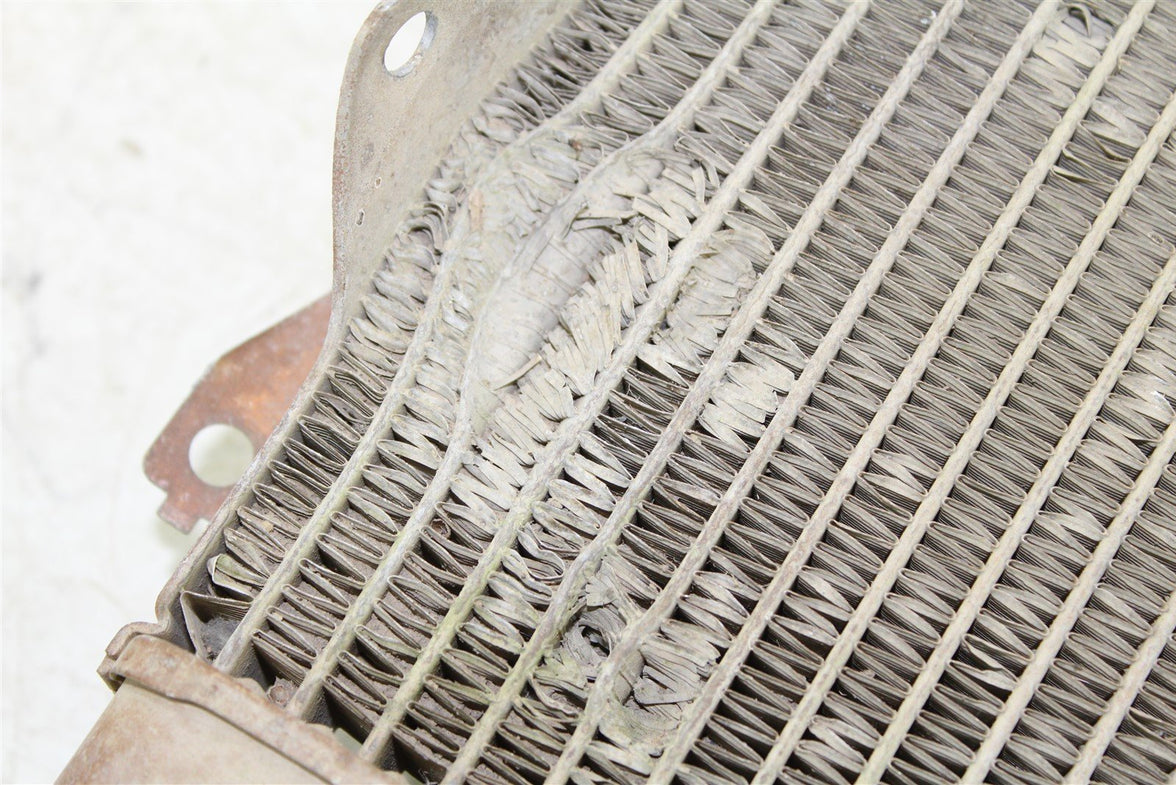 2018 Honda Foreman TRX 500 FM Radiator w/ Coolant Hoses