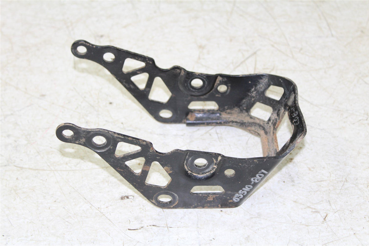 2009 Can Am Renegade 800R X Rear Bumper Guard Shield