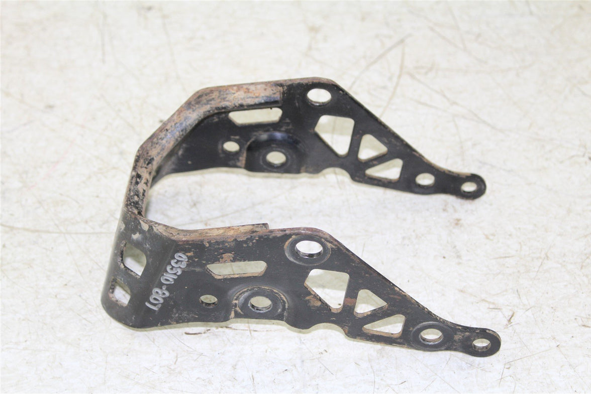 2009 Can Am Renegade 800R X Rear Bumper Guard Shield