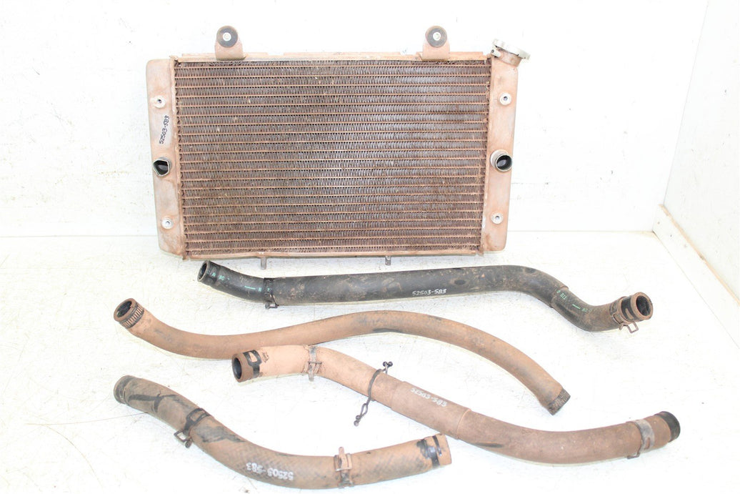 2009 Yamaha Rhino 700 Radiator w/ Coolant Hoses