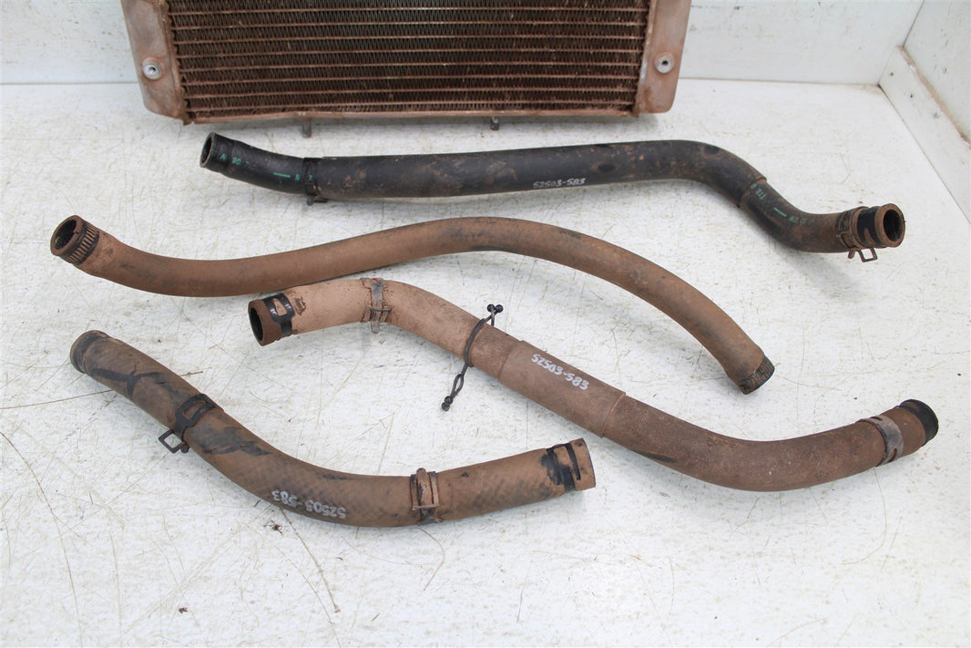 2009 Yamaha Rhino 700 Radiator w/ Coolant Hoses