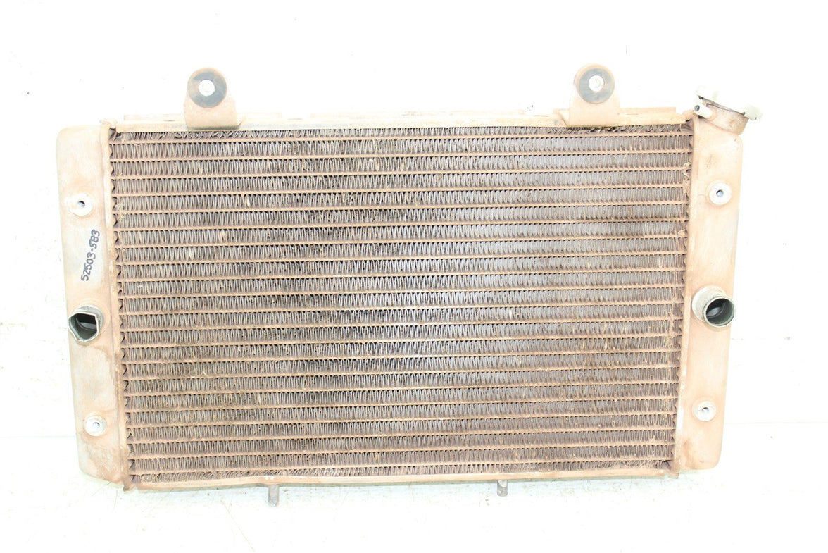 2009 Yamaha Rhino 700 Radiator w/ Coolant Hoses