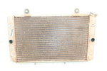 2009 Yamaha Rhino 700 Radiator w/ Coolant Hoses