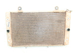 2009 Yamaha Rhino 700 Radiator w/ Coolant Hoses