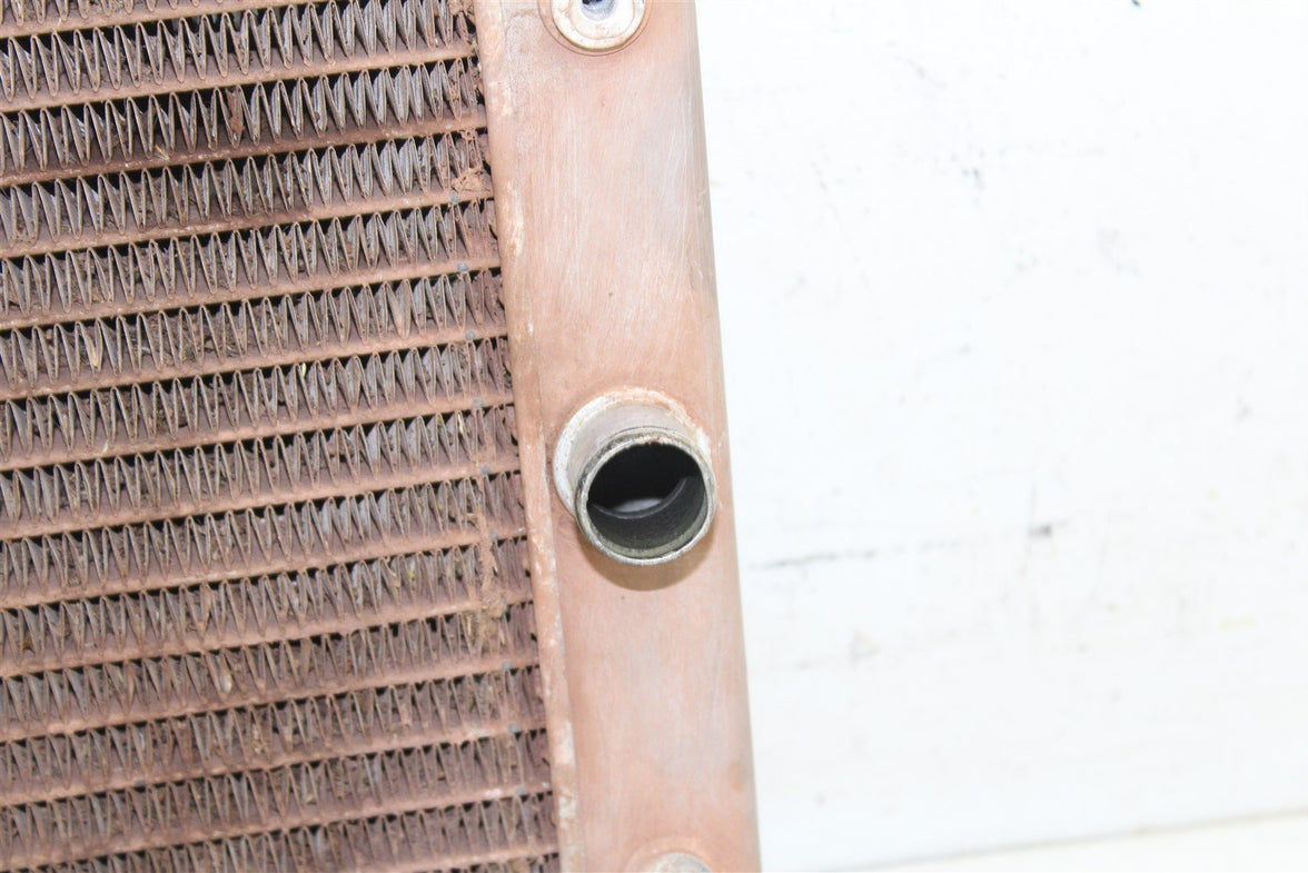 2009 Yamaha Rhino 700 Radiator w/ Coolant Hoses