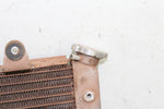 2009 Yamaha Rhino 700 Radiator w/ Coolant Hoses