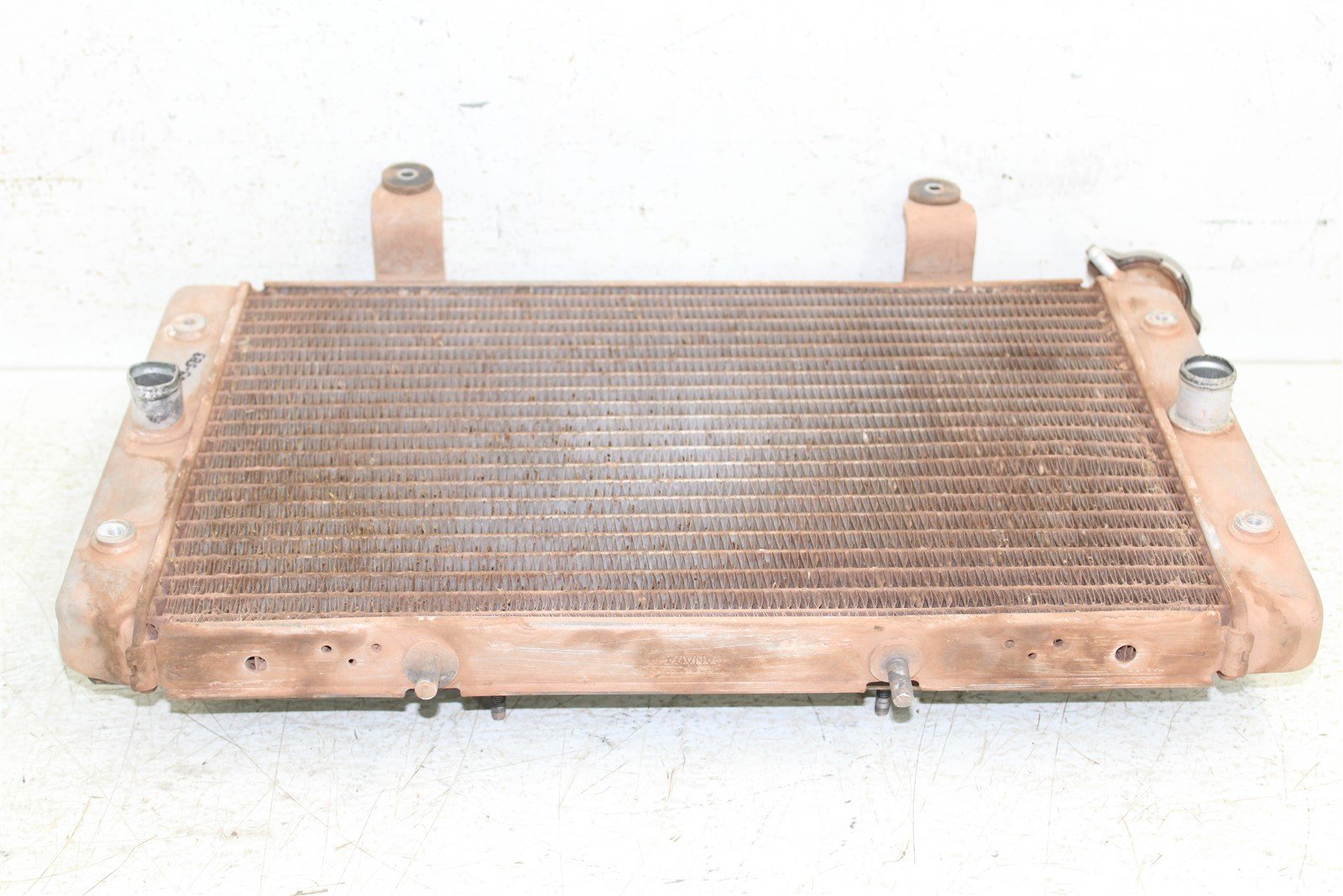 2009 Yamaha Rhino 700 Radiator w/ Coolant Hoses