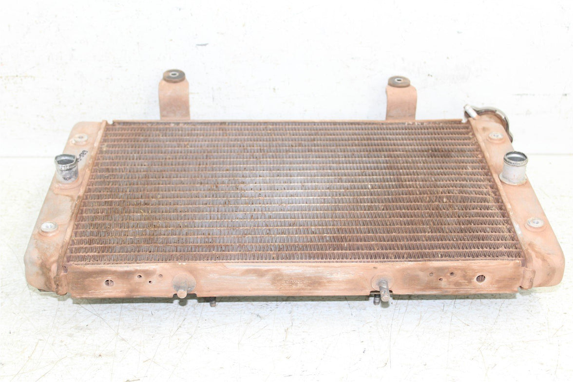 2009 Yamaha Rhino 700 Radiator w/ Coolant Hoses