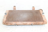 2009 Yamaha Rhino 700 Radiator w/ Coolant Hoses