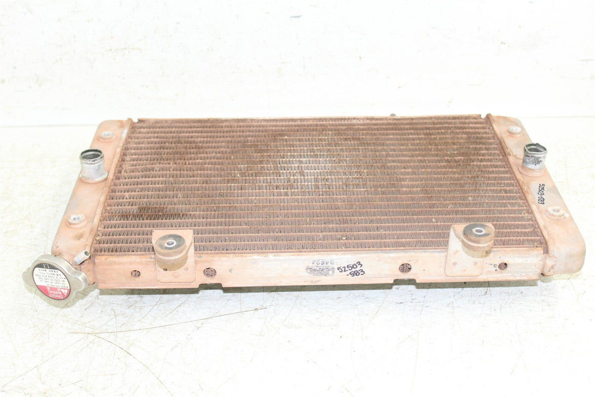 2009 Yamaha Rhino 700 Radiator w/ Coolant Hoses