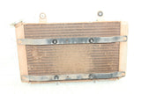 2009 Yamaha Rhino 700 Radiator w/ Coolant Hoses
