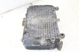 1987 Kawasaki Mojave 250 Radiator w/ Coolant Hoses