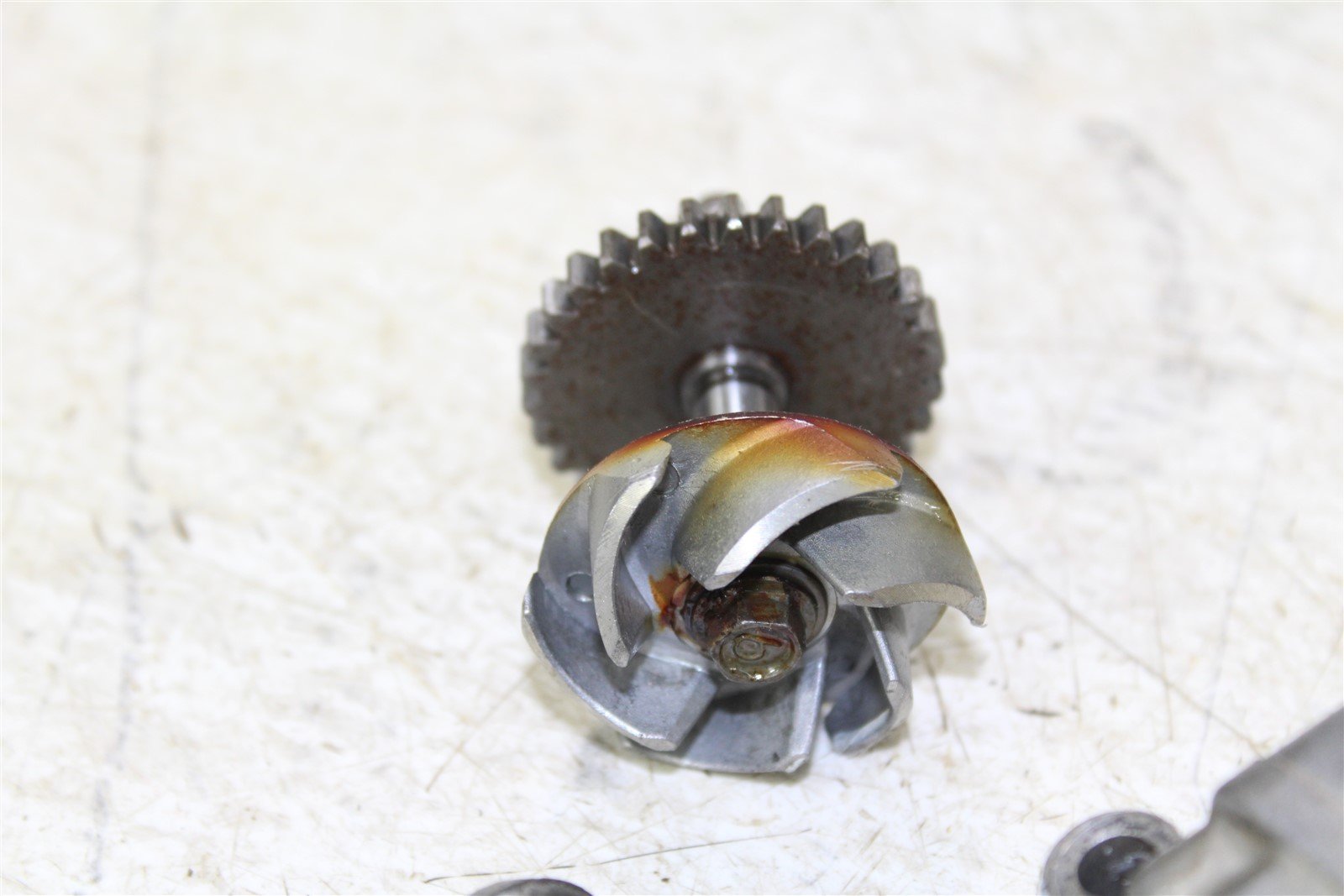 1992 Kawasaki KX 250 Water Pump Impeller Cover