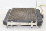 2000 Arctic Cat 500 4x4 Manual Radiator w/ Coolant Hoses