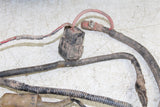1986 Honda Fourtrax 250 2x4 Wire Wiring Harness Loom