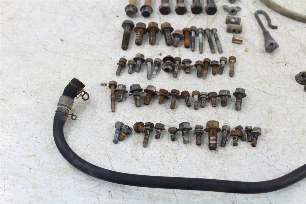 1994 Yamaha Timberwolf 250 Chassis Bolt Kit Hardware Wire Hose Clamp Coil Spring