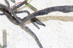 1998 Kawasaki Bayou 300 4x4 Wire Wiring Harness Loom