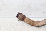 1986 Honda Fourtrax 200 SX Exhaust Head Pipe Silencer Muffler