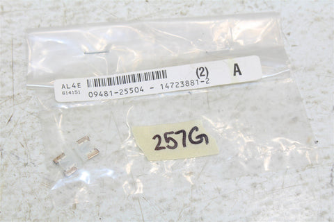 NOS Genuine Suzuki 25 Amp Fuses Fuse NEW OEM 09481-25504 QTY:2