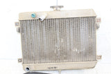 2003 Suzuki Vinson 500 4x4 Automatic Radiator w/ Coolant Hoses