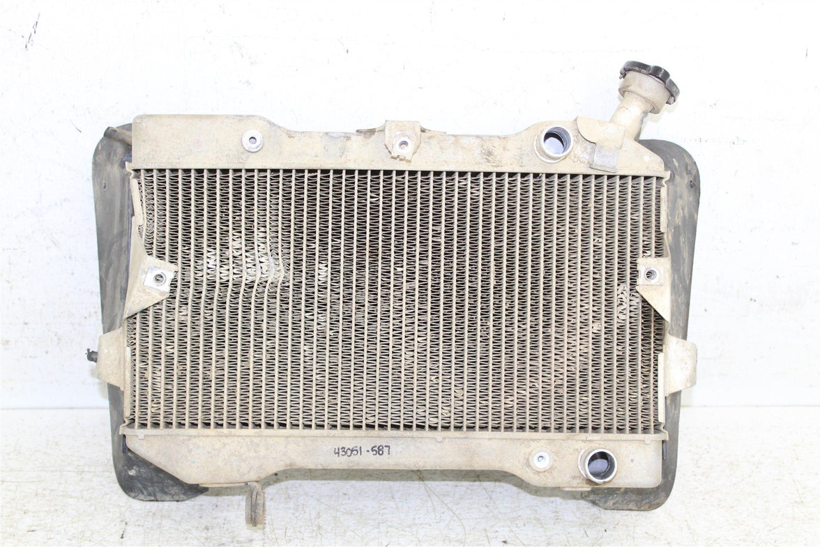2007 Suzuki LTR 450 Radiator w/ Coolant Hoses