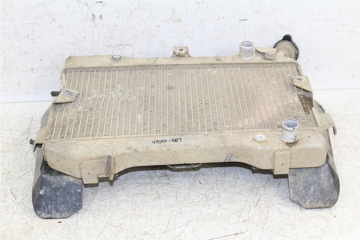 2007 Suzuki LTR 450 Radiator w/ Coolant Hoses