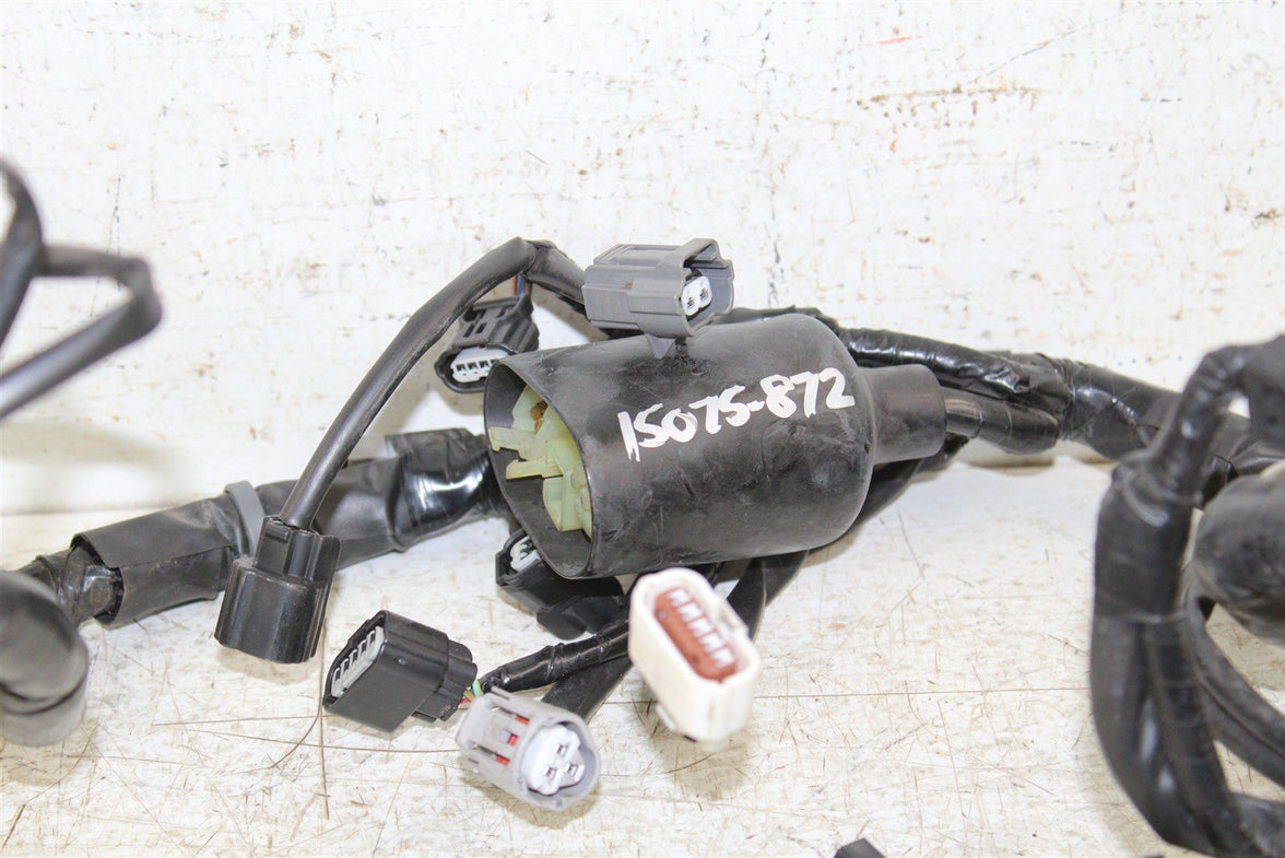 2018 Honda CB 300F Wire Wiring Harness 15075