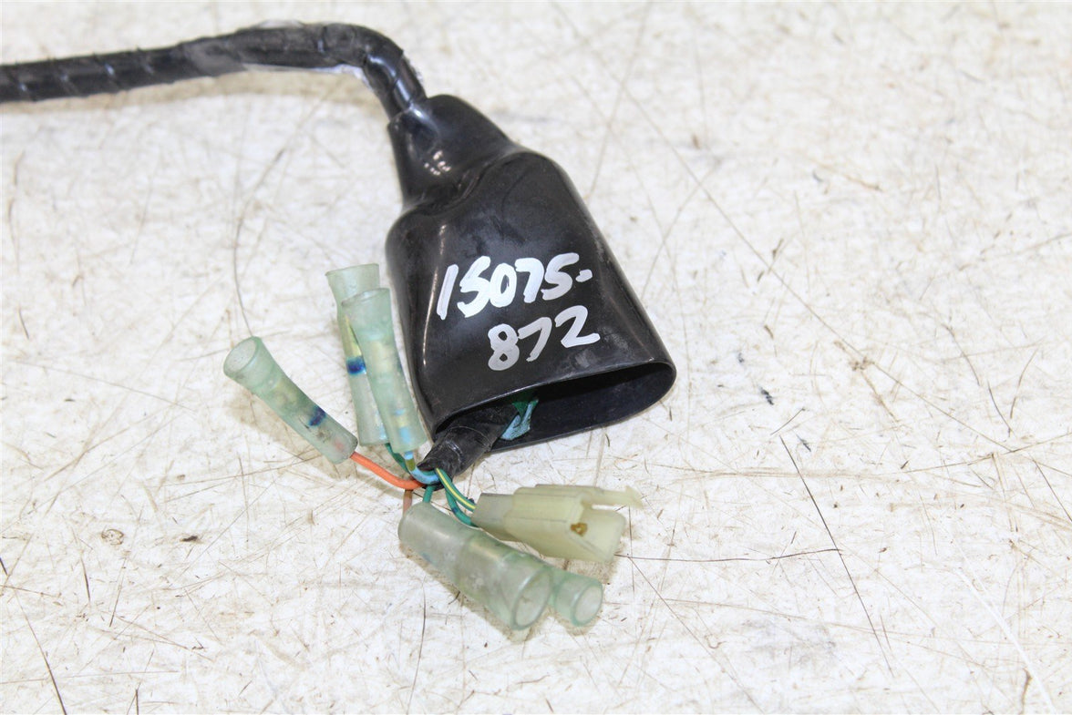 2018 Honda CB 300F Wire Wiring Harness 15075
