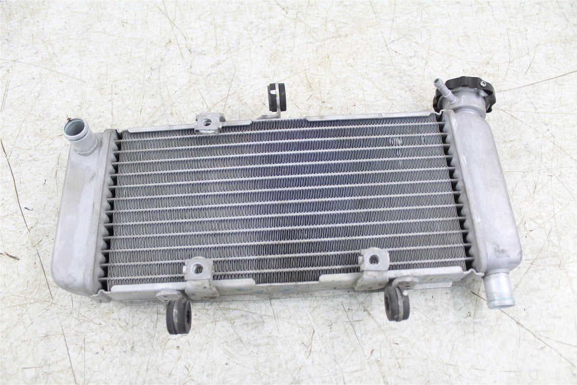 2018 Honda CB 300F Radiator w/ Hoses 15075
