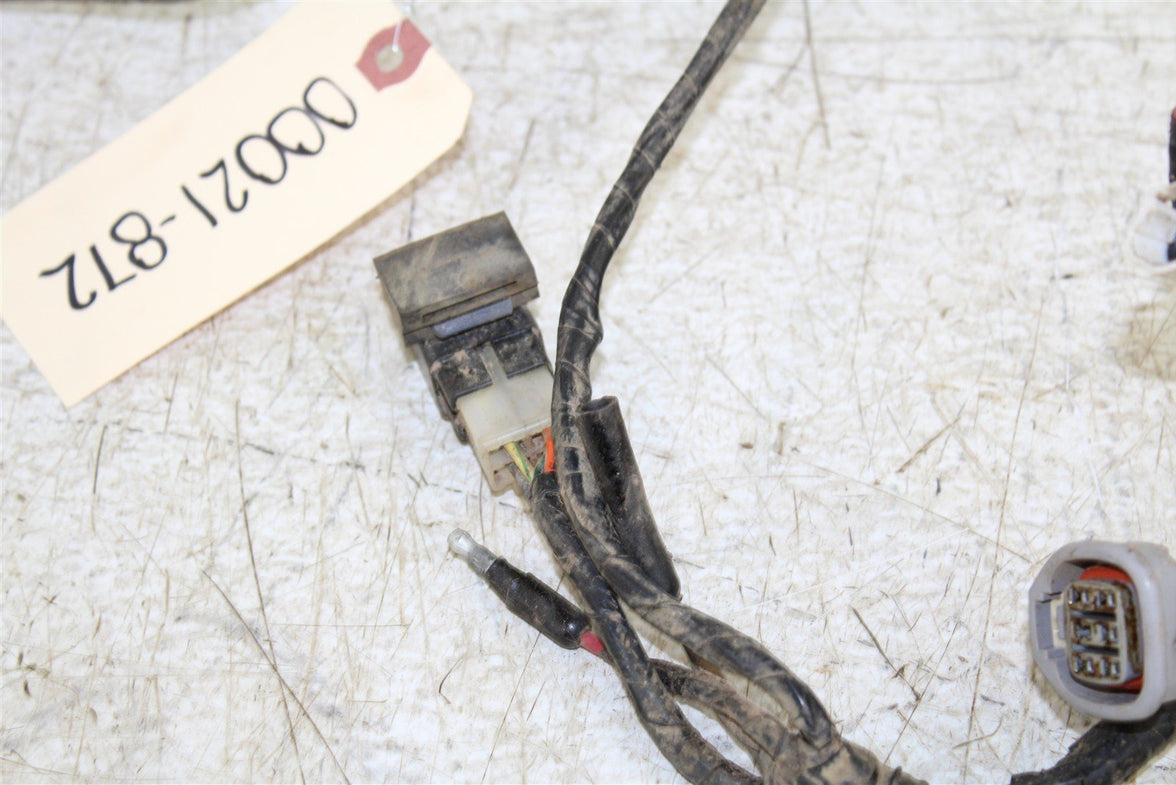 2001 Arctic Cat 250 2x4 Wire Wiring Harness Loom 00021